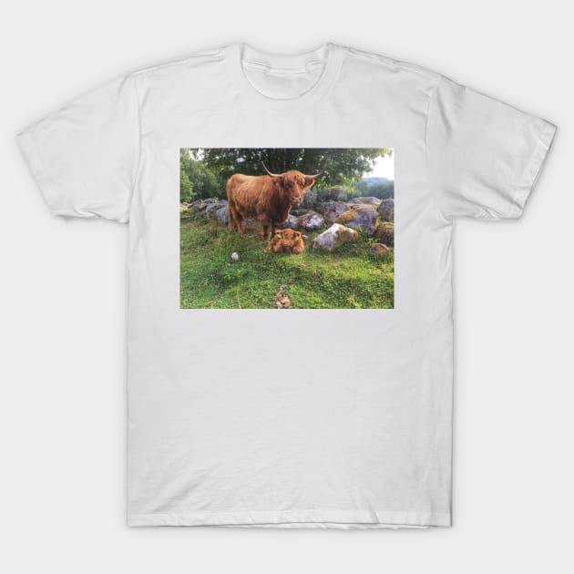 Scottish Highland Cattle Cow and Calf 1804 T-Shirt by SaarelaHighland